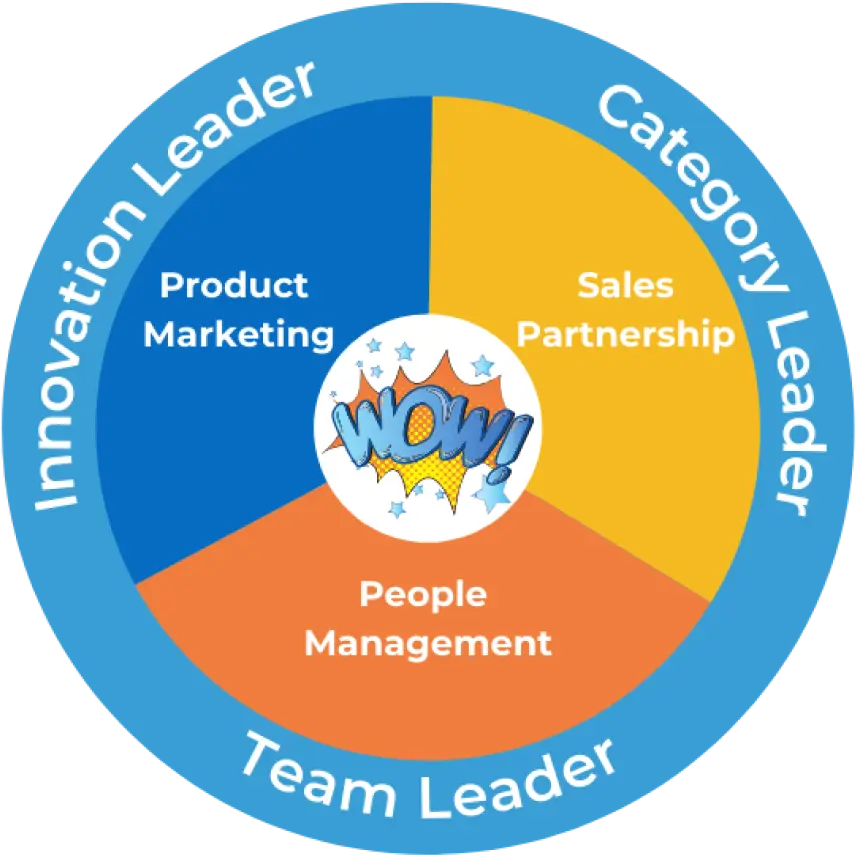innovation leader - category leader - team leader